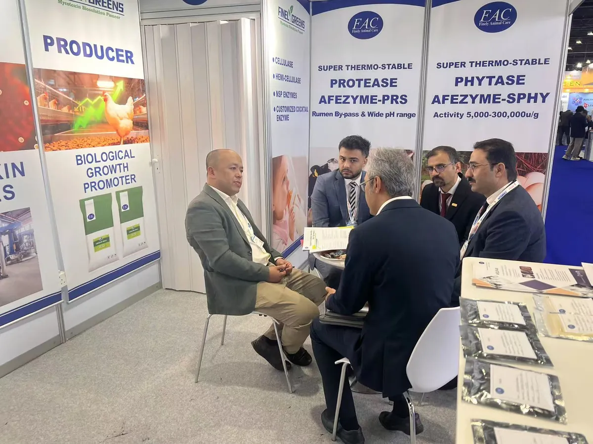 Exhibition Booth