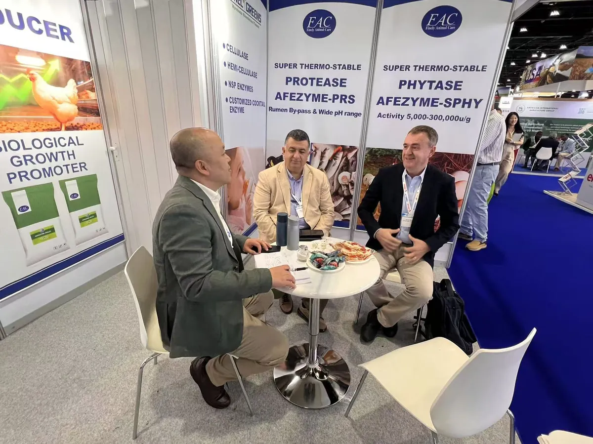Exhibition Booth