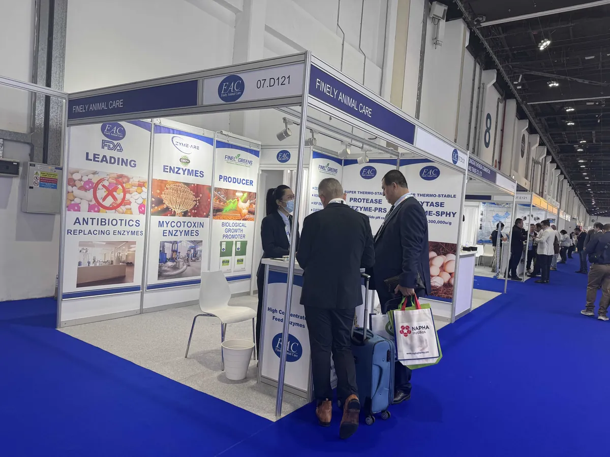 Exhibition Booth