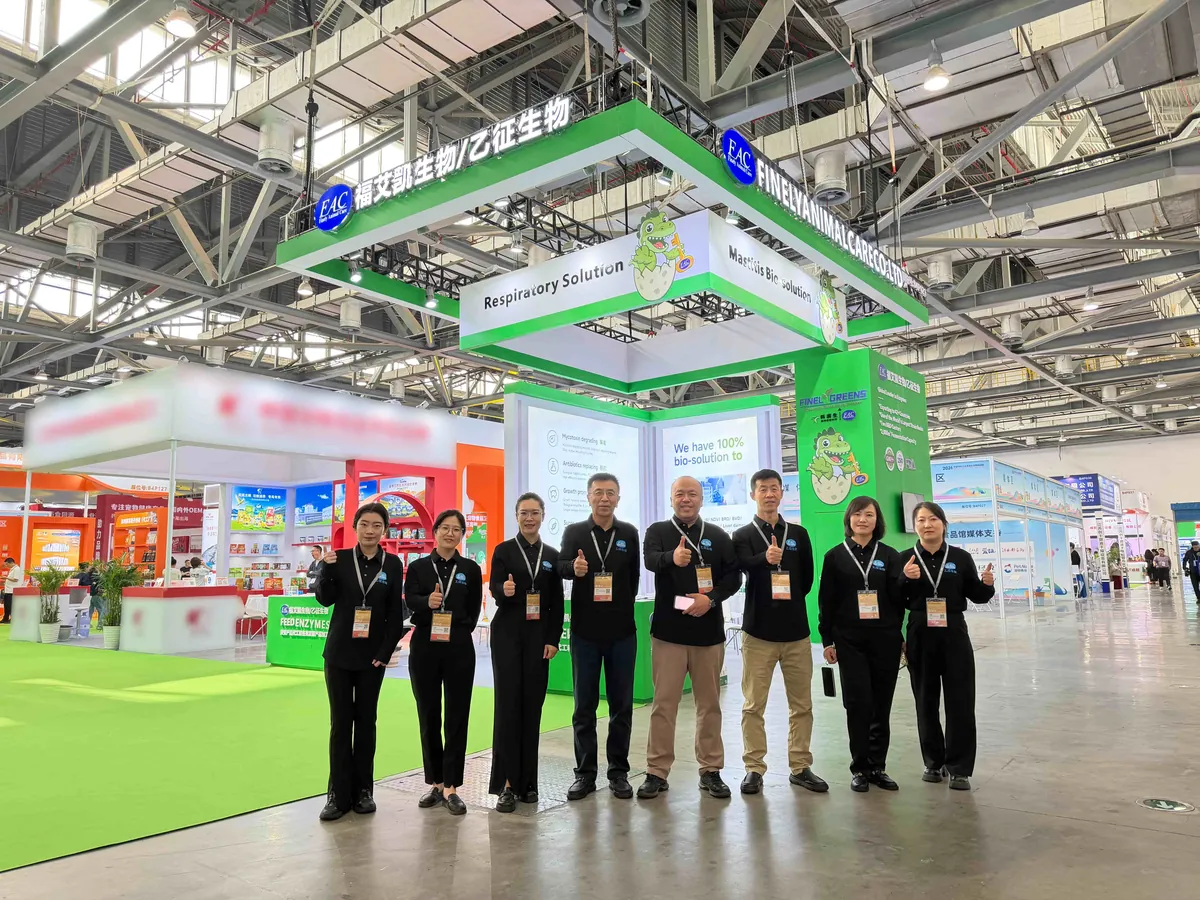 Exhibition Booth