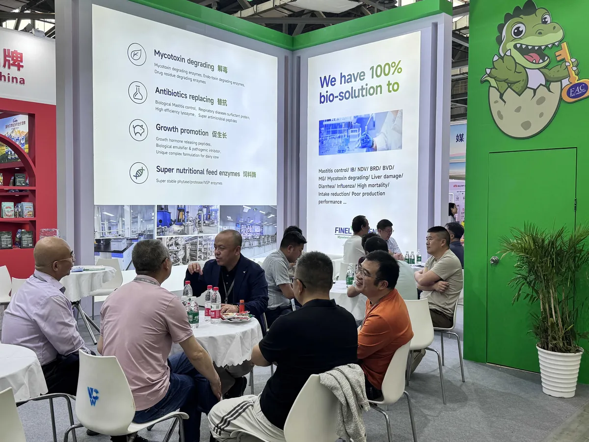 Exhibition Booth