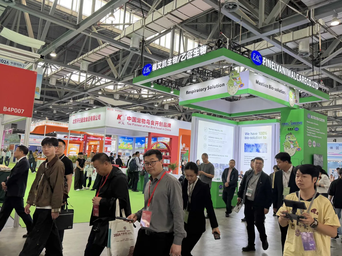 Exhibition Booth