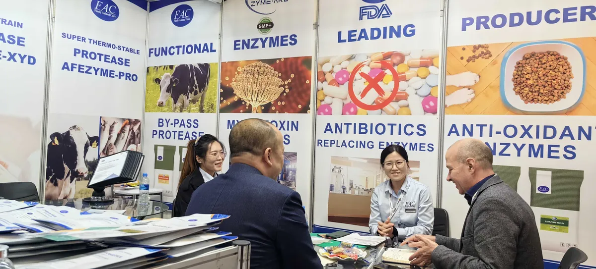VIV Asia 2023 exhibition booth