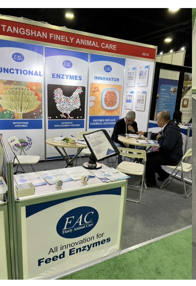 VIV VISA 2025 exhibition booth