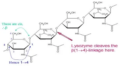AFEZYME-LZM - Image 2